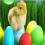 Тема на телефон Cute Chiken