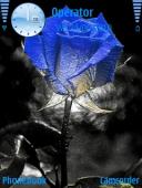 Тема на телефон Blue Rose