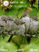 Тема на телефон Beautiful Birds