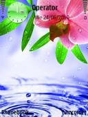 Тема на телефон Water Flower